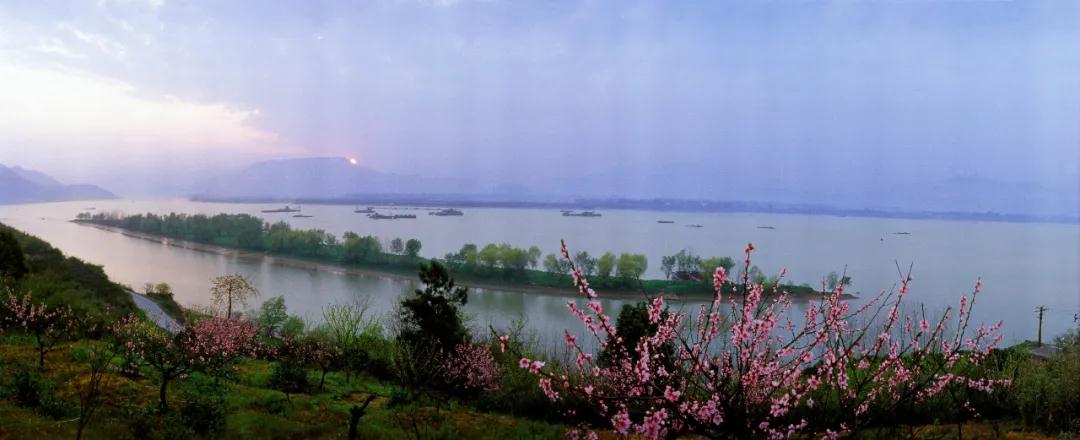 仙鶴股份有限公司官方網(wǎng)站 仙鶴股份有限公司官方網(wǎng)站