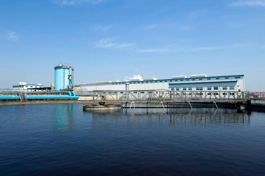 仙鶴股份有限公司官方網(wǎng)站 仙鶴股份有限公司官方網(wǎng)站